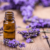 Lavender Oil Benefits - What Can Lavender Do For You
